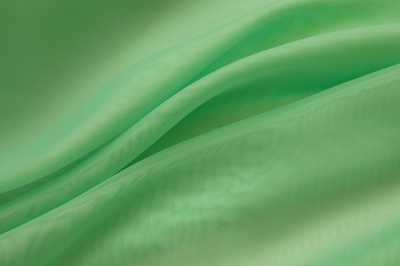 Портьерный капрон 15-6123, 47 гр/м2, шир.300см, цвет св.зелёный - купить в Дзержинске. Цена 137.27 руб.