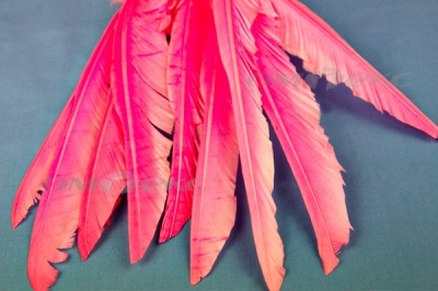 Декоративный Пучок из перьев, перо 25см/розовый - купить в Дзержинске. Цена: 14.40 руб.