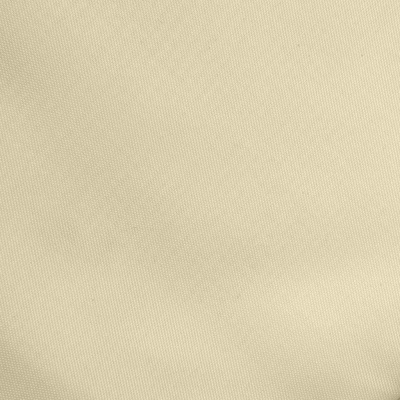 Ткань подкладочная Таффета 14-1014, антист., 53 гр/м2, шир.150см, цвет бежевый - купить в Дзержинске. Цена 62.37 руб.