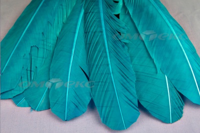 Декоративный Пучок из перьев, перо 24см/голубой - купить в Дзержинске. Цена: 12.19 руб.
