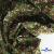 Ткань костюмная «Микровельвет велюровый принт», 220 г/м2, 97% полиэстр, 3% спандекс, ш. 150См Цв  #9 - купить в Дзержинске. Цена 439.76 руб.