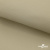 Ткань подкладочная TWILL 230T 14-1108, беж светлый 100% полиэстер,66 г/м2, шир.150 cм - купить в Дзержинске. Цена 90.59 руб.
