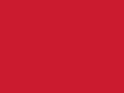 Сетка подкладочная красный, 60г/м2 (10 м/кг) - купить в Дзержинске. Цена 885.73 руб.