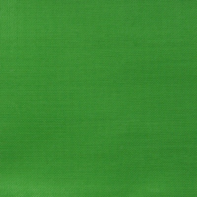Ткань подкладочная Таффета 17-6153, 48 гр/м2, шир.150см, цвет трава - купить в Дзержинске. Цена 54.64 руб.