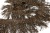 008-коричневый, Бахрома арт.001 шир.10см (упак.12+/-0,5м) - купить в Дзержинске. Цена: 1 017.33 руб.