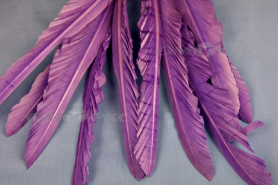 Декоративный Пучок из перьев, перо 25см/фиолетовый - купить в Дзержинске. Цена: 12.19 руб.