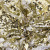 Трикотажное полотно, Сетка с пайетками, шир.130 см, #315, цв.-белый/золото - купить в Дзержинске. Цена 693.39 руб.