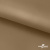 Ткань подкладочная Таффета 17-1327, антист., 54 гр/м2, шир.150см, цвет св.коричневый - купить в Дзержинске. Цена 65.53 руб.