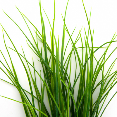 Трава искусственная -3, шт (осока 50 см/8 см  5 листов)				 - купить в Дзержинске. Цена: 124.17 руб.