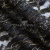 Кружевное полотно XD LACE 1-4, 80 гр/м2, шир.150см, цвет чёрный - купить в Дзержинске. Цена 245.94 руб.